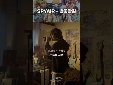 일그러진 달의 반쪽을 찾아 🌸 / SPYAIR - 벚꽃만월 (Sakura mitsutsuki)            #spyair #벚꽃만월 #스파이에어#cover #노래추천