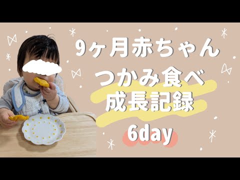 【生後9ヶ月】つかみ食べ成長記録6day☺️離乳食後期/カミカミ期/つかみ食べメニュー