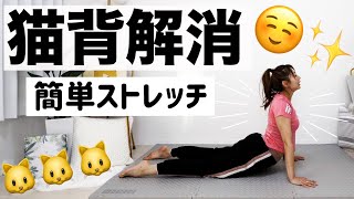 【声ガイドああり】３分猫背解消ストレッチ!!誰でもすぐできる肩こり解消ストレッチ