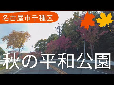 名古屋の秋 紅葉スポット　平和公園　車窓からもみじ狩り