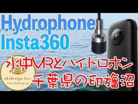 【水中360°VRとハイドロホン】千葉県の印旛沼