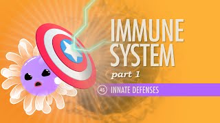 Immune System, Part 1: Crash Course Anatomy & Physiology #45