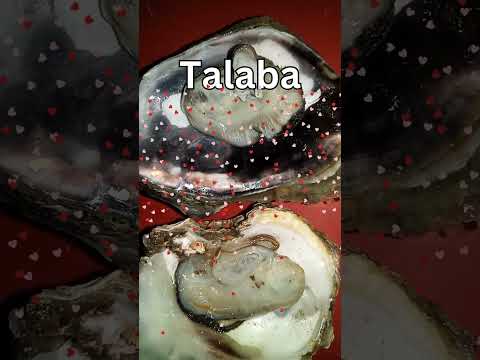 Filipino Cuisine | Talaba/Oysster | Lutong Bahay ❤️ #youtubeshorts #food #filipinocooking #shorts