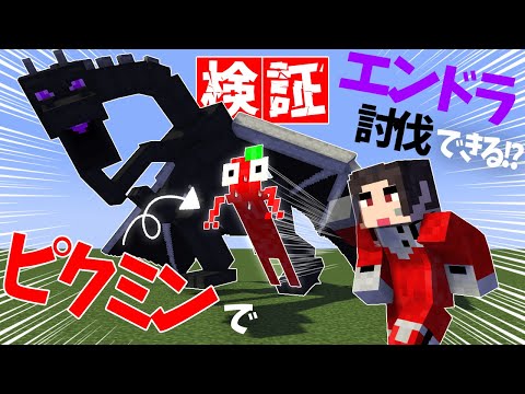 ピクミンを使えばエンダードラゴン簡単に倒せる説！【マイクラ/ピクミンサバイバル】