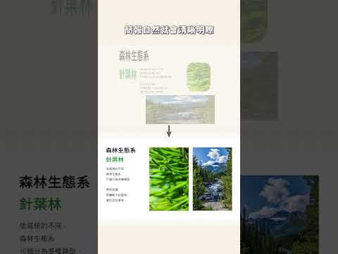 《教學簡報設計方法》- 簡報怎麼排版？使用格線系統幫助你快速排版！