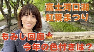 #103 【富士河口湖紅葉まつり】もみじ回廊はまだまだ青かった！