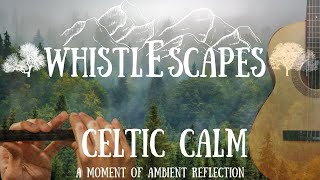 Ambient Celtic Folk Instrumental