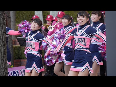 箱根駅伝2015 國學院大學全學應援團チアリーダー部BUNNYS