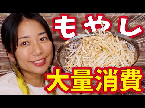 【簡単】1食100円以下！もやし大量消費レシピ