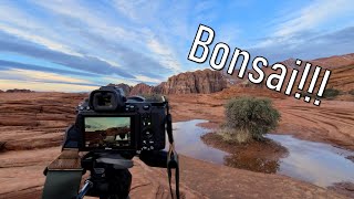 Southern Utah Petrified Sand Dunes | Landscape Photography