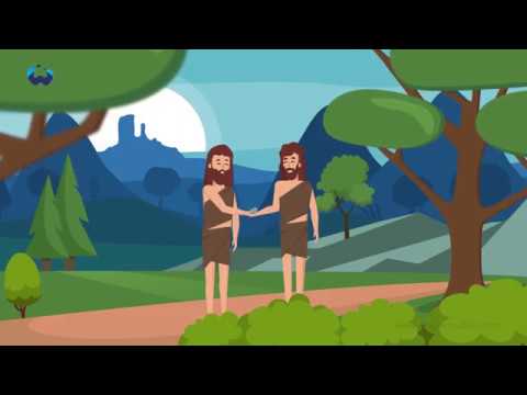 SmarttradeX - Animated Explainer Video