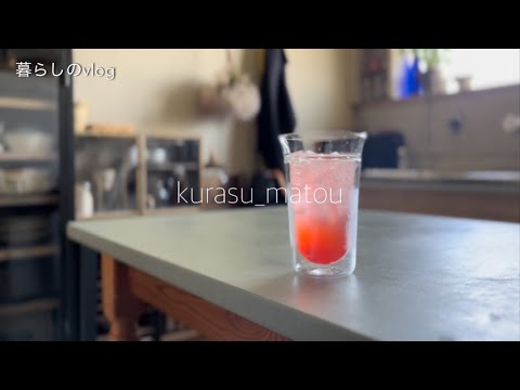 冷凍庫の収納・冷蔵庫ツアー/ inside the freezer ・refrigerator tour /かき氷始めました/おうち焼き鳥/すもものコンポート/網戸そうじ/団地暮らし