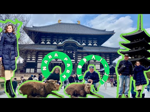 NARA PARK/TODAI-JI TEMPLE in NARA KEN JAPAN/japAnne life and adventure feb.11.2024