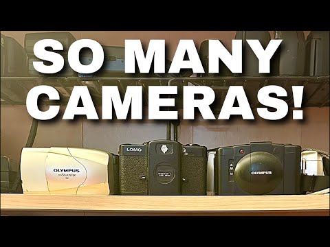 Vintage Camera Collection: Top Shelf