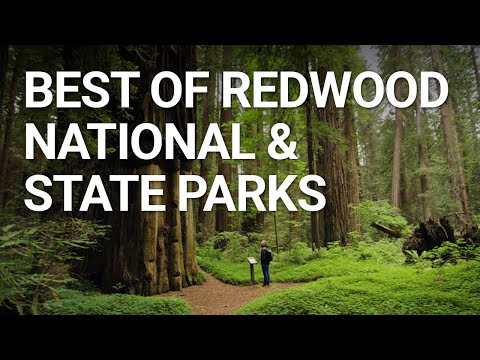 Top Things You NEED To Do In Redwood National Park, California