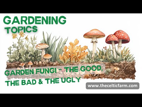 🍄 The Good, Bad, and Ugly of Garden Fungi - Are Mushrooms Helping or Hurting Your Plants?