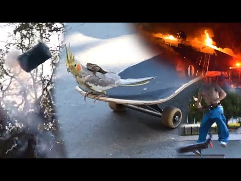 Random Archive Footage #5: Blowing Up Trash Can At Skatepark, Huge House Fire, Game Of Scoot