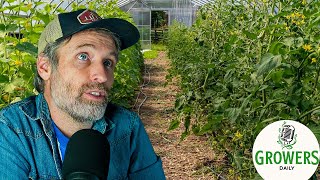 Can Organic Agriculture Feed the World + What’s Up with Grafting Tomatoes