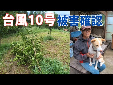 台風10号の被害状況を確認する！