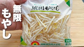 【もやしの簡単レシピ】包丁入らずパパッと炒めるだけ！やばうま〜