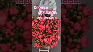 Музыкальное поздравление с 8марта-для девушки, коллеги,жены,сестры,подруги,бабушки,тёщи, соседки