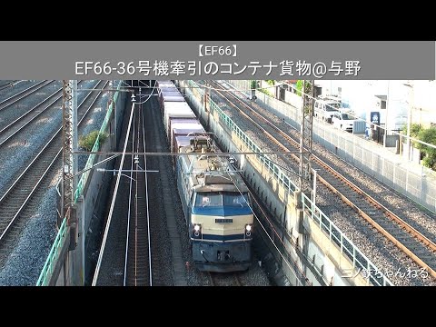 【EF66】 EF66-36号機牽引のコンテナ貨物@与野