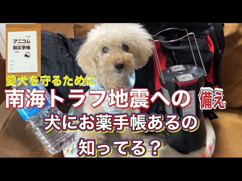 災害時に便利なペットのお薬手帳あるのしってる？ペットを守るために南海トラフ地震に備える