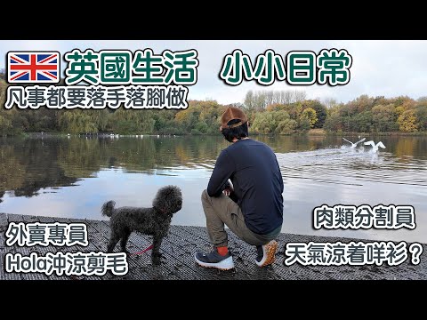 折扣碼[BILLYGOOUT2024] 英國生活小小日常｜ 凡事落手做｜ 保暖衣着｜食外賣｜hola沖涼剪毛