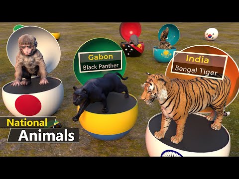 National Animals of All Countries | National Animal with Country Balls