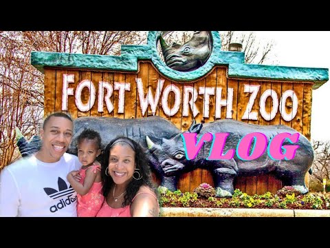 Fort Worth Zoo Vlog | A Day at the Ft. Worth Zoo | Best Zoo in America