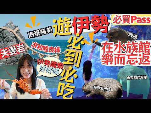 【伊勢志摩自由行】鳥羽水族館｜日本最大級水族館，親子遊必到景點｜伊勢夫妻岩．求良緣勝地？｜初嚐伊勢龍蝦🦞｜鳥羽珍珠館｜左撇子愛自遊 三重県自由行EP2