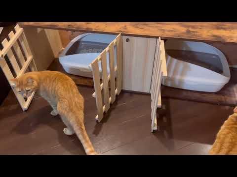 【DIY動画】猫トイレ収納ボックス