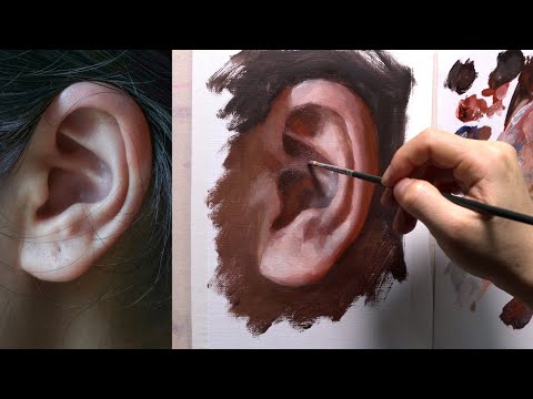 油画练习画耳朵Oil painting practice ear