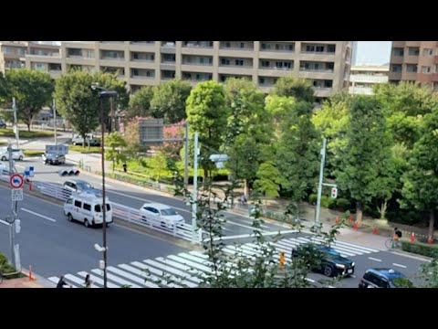 緊急車両Live Tokyoview 明日から大荒れの模様💦