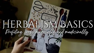 Herbalism Basics: Crafting your Materia Medica || Profiling Herbs || Green Witchcraft & Folk Magic