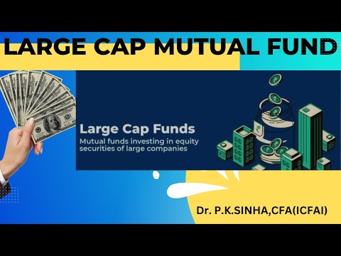 Large Cap Funds