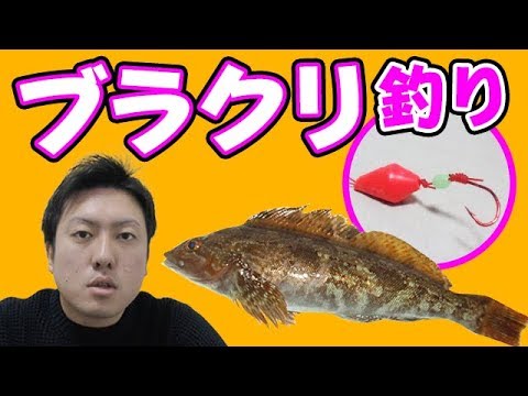 【魚図鑑 アイナメ】穴釣り！ ブラクリ釣り仕掛けとは？ ルアーやワームでも釣れる！