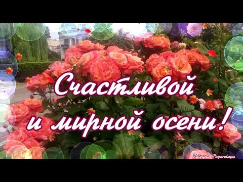 НЕВЕРОЯТНО КРАСИВАЯ МУЗЫКА СЕРГЕЯ ЧЕКАЛИНА!СЧАСТЛИВОЙ ,МИРНОЙ ОСЕНИ!💖