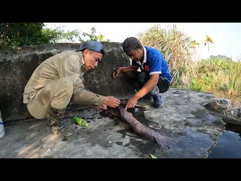 Close-up of Dangerous Giant Fishing Almost Losing His Life