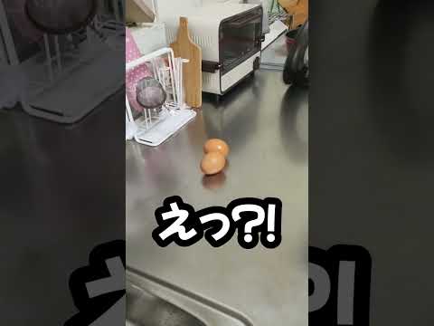 あなたは分かりましたか？