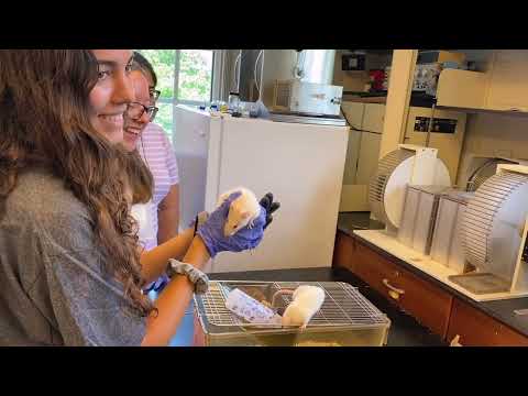 Science Research at Saint Anselm College