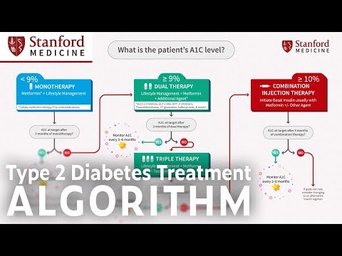 The ADA Type 2 Diabetes Management Algorithm