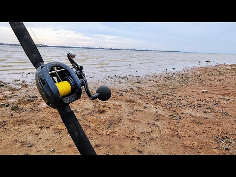 Bank Fishing a SHALLOW Mud Flat!! (They were hungry)