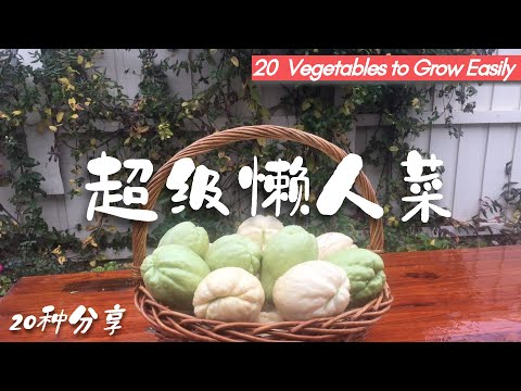 20 Vegetables to Grow Easily