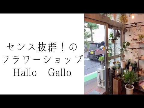 【Hallo Gallo】とってもお洒落なフラワーショップ