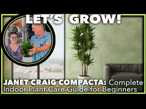 JANET CRAIG COMPACTA CARE MADE EASY: Watering, Light & More!