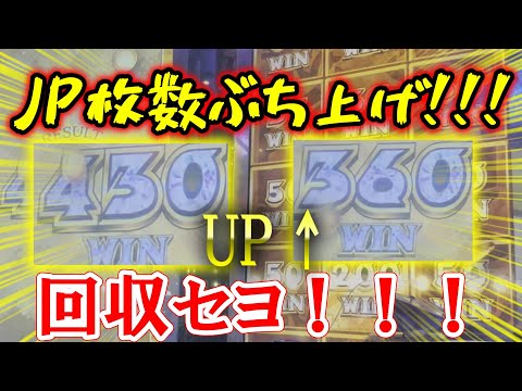 【大養分】FT5でJPが貯まってきたから狙ってみた【フォーチュントリニティ5】