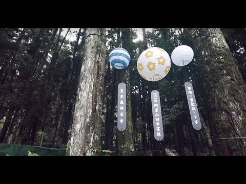 2019年阿里山四季茶旅-夏季森林茶會-Alishan Tea Festival In Four Seasons