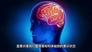 显意识是什么？显意识和潜意识又有什么不同呢？