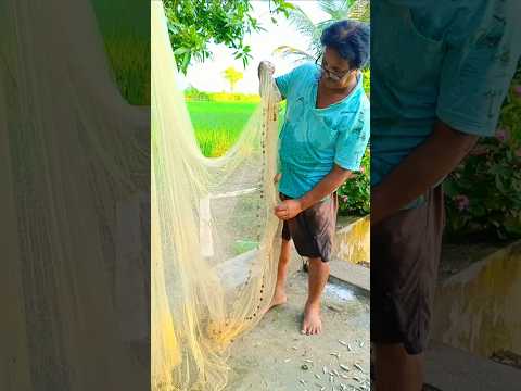 କେତେ ଚୁନାମାଛ ଧରିଲି#youtube#fishing#viral